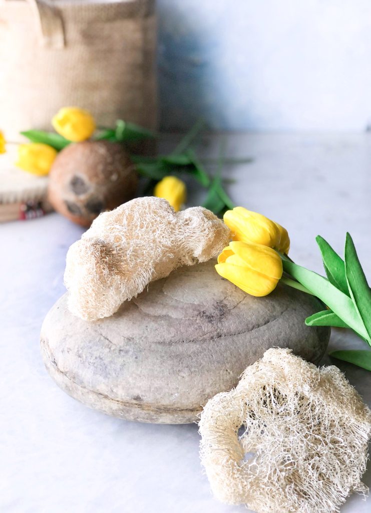 φυτικό σφουγγάρι λούφα