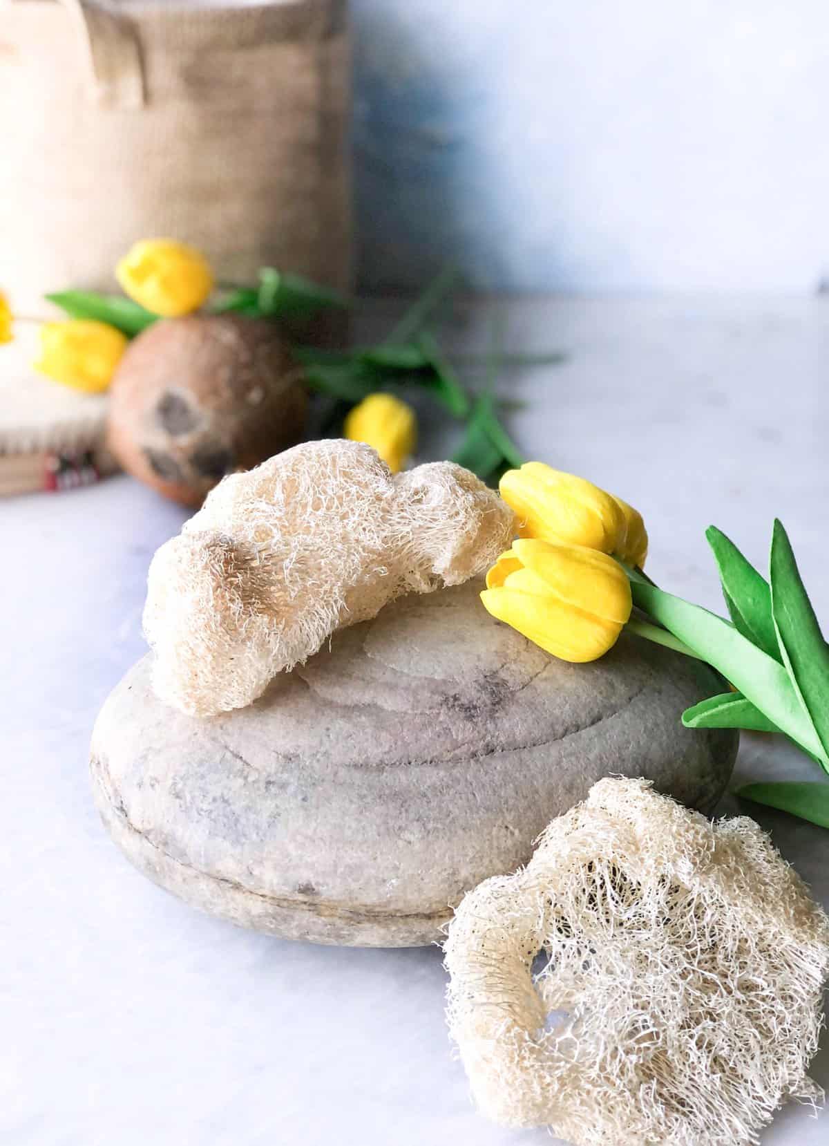 pexels-umran-gun-8014394